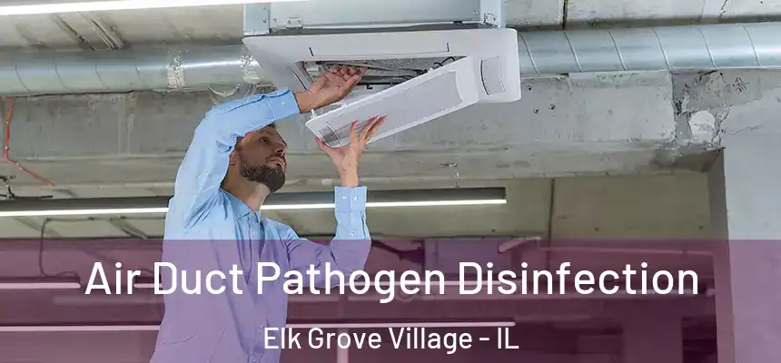  Air Duct Pathogen Disinfection Elk Grove Village - IL