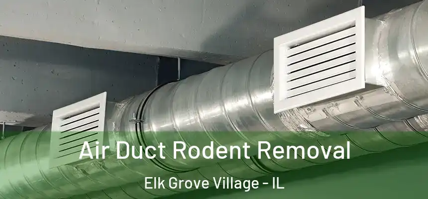  Air Duct Rodent Removal Elk Grove Village - IL