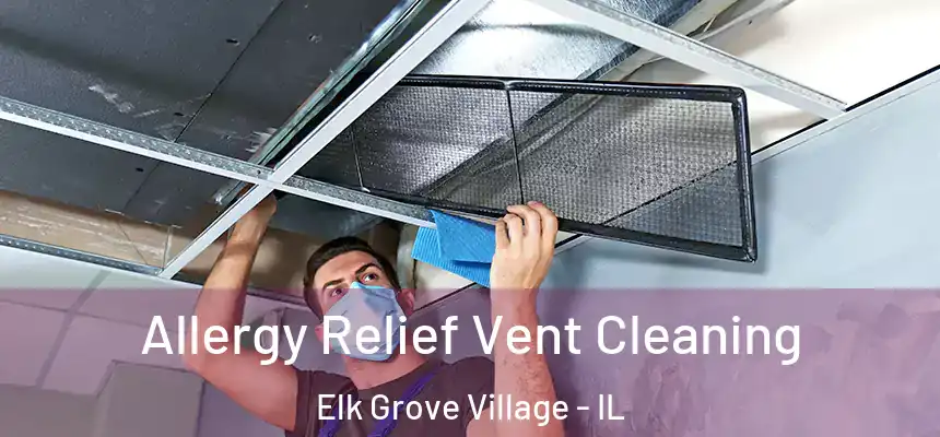Allergy Relief Vent Cleaning Elk Grove Village - IL