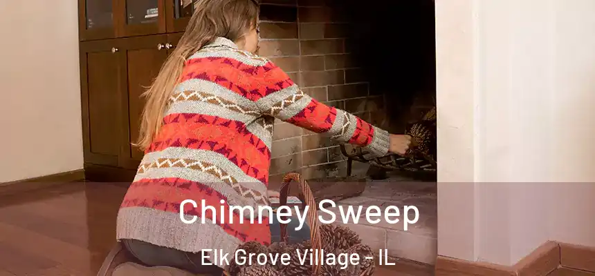  Chimney Sweep Elk Grove Village - IL