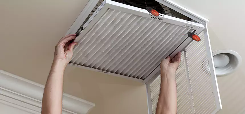 Preventive Cockroach-Proofing for Ducts in Elk Grove Village