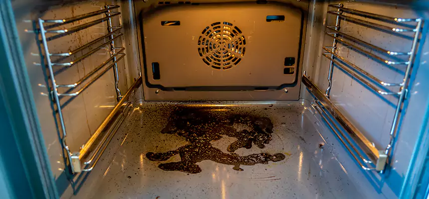 Our Dryer Vent Mold Cleaning Services in Elk Grove Village, IL