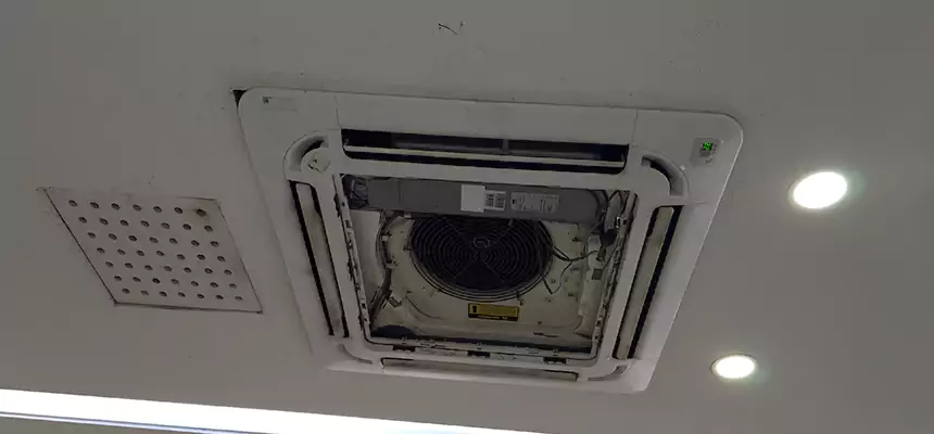 Our Wall Vent Cleaning Service Services in Elk Grove Village, IL