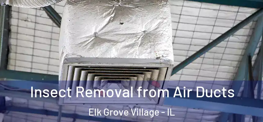  Insect Removal from Air Ducts Elk Grove Village - IL