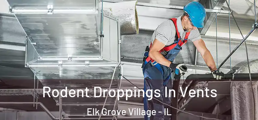  Rodent Droppings In Vents Elk Grove Village - IL