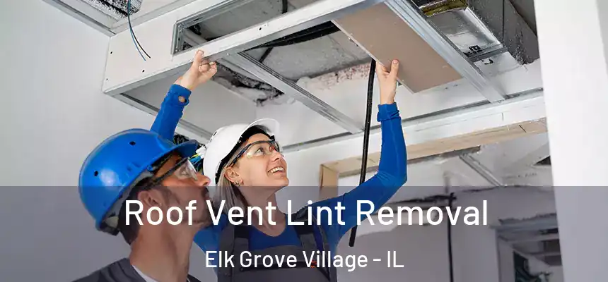  Roof Vent Lint Removal Elk Grove Village - IL