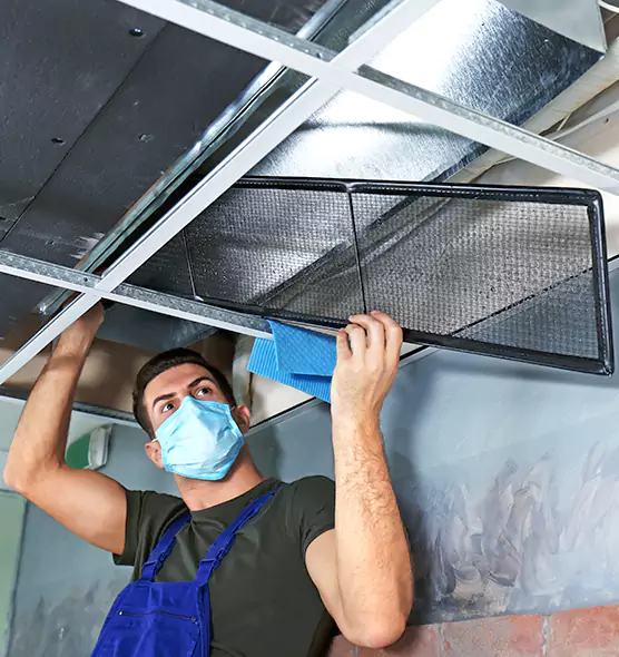 About Air Duct Bacteria Removal in Elk Grove Village