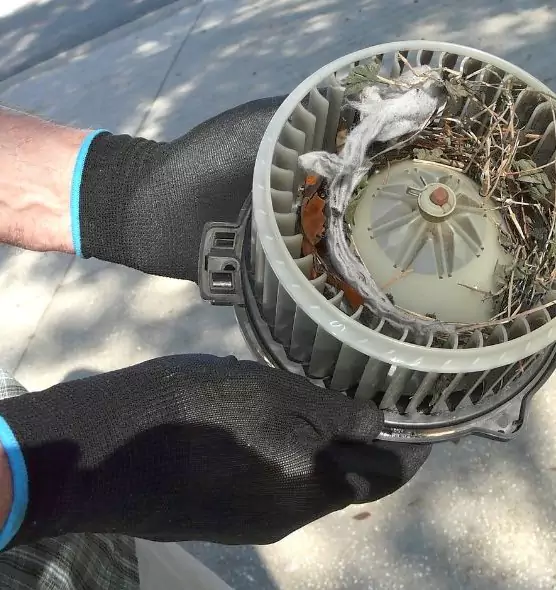 About Air Duct Mice Removal in Elk Grove Village, IL