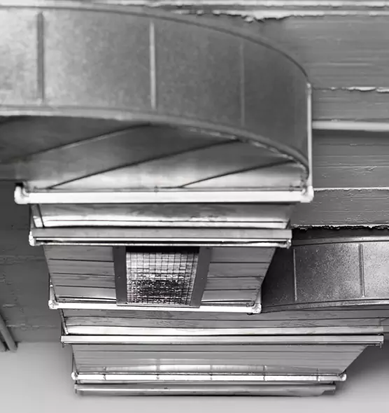 Professional Air Duct Pest Removal in Elk Grove Village, IL