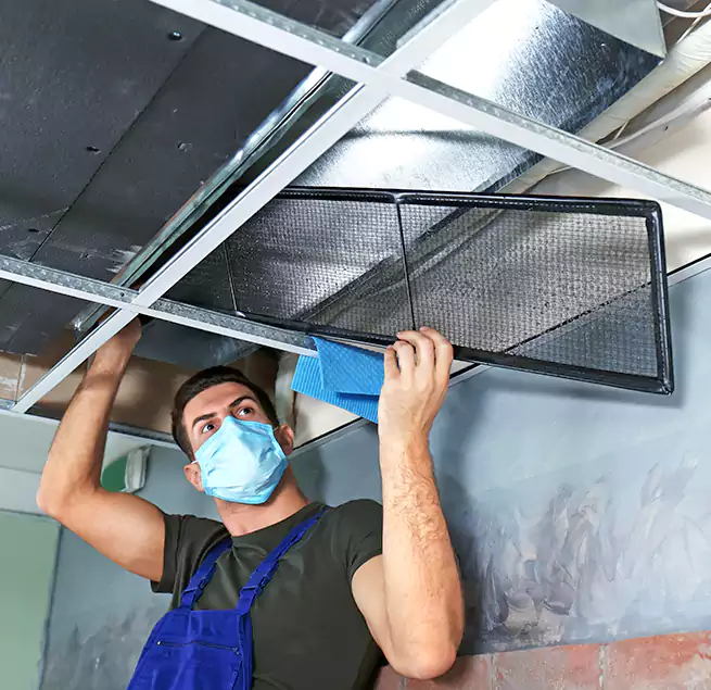 Why Homeowners Businesses Trust Us in Elk Grove Village, IL