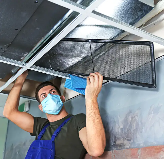 Why Homeowners & Businesses Trust Us in Elk Grove Village, IL?